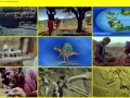 When Dinosaurs Ruled - Africa - The Land Time Forgot