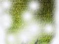 9801-4
