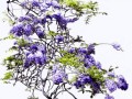 0_168889_3f0ba0be_orig_yapfiles.ru