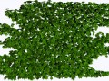 _3_yapfiles.ru (2)