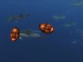Shooting Stars Meme