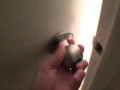 Как люди ходят в общественный туалет