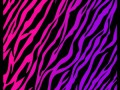 tumblr_static_vinil-animal-print-para-decoracion-vinilo-tigre-cebra_mlv-f-3775895648_0220131
