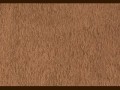 643268-min
