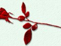 2_arnusha