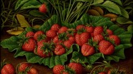 Леви — Земляника . Strawberries