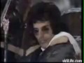Queen - We Will Rock You