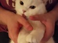 Человек, ты достал! Но я все равно люблю тебя...