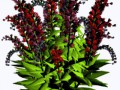 imgthing_yapfiles.ru