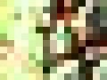 7_7