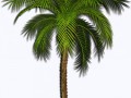 0_b9ee6_c262ab47_orig_yapfiles.ru