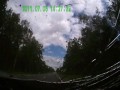 Животные на дороге