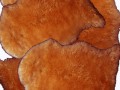 catalogue_1379_big_yapfiles.ru_yapfiles.ru