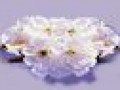 _5_arnusha