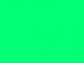 Весенне-зеленый (Зеленая весна)	#00FF7F
