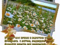 -ЛЕТО (1)