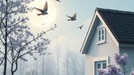 sorokvosem - Весеннее настроение (ZlobnyiTroll, SorokVosem) ext - ЁКЛМеН