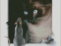 Cat1