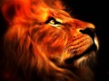 lion_8SLj4Omh