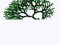 11_yapfiles.ru