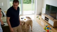 Just cleaning the house