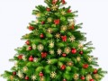 1539179285_christmas-tree-