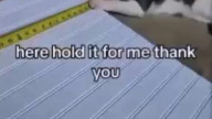 Котопомощь