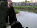 Снайпер троль