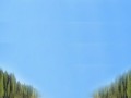 ,i
