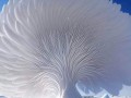 a40b07953eed829e60765ed42c18d620