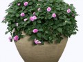 klipartz.com (13)
