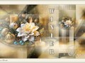 9.12.2023 Winter flower2