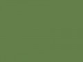 Умеренный желтовато-зеленый	#657F4B	101	127	75