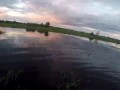 УТИНАЯ ОХОТА СЕНТЯБРЬ.Тест Ружья Benelli Vinci ||| DUCK HUNTING SEPTEMBER. Gun Test Benelli Vinci