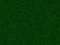 GrassTexturesforDesigners1