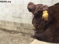 When your bear had a hard day and needs some extra love....