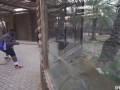 перетягивание