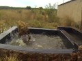 Crazy Hyenas | The Lion Whisperer