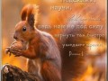 4 - копия