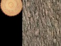 log3