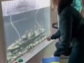 Во Львове устроили аттракцион для населения