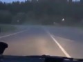 Общительный водитель