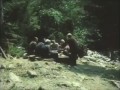 Как грузины грибы проверяли.wmv