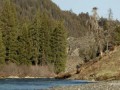Baby Bison Takes on Wolf and Wins | America's National Parks