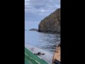 Лось