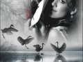 -прилетели_01
