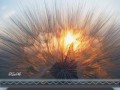 -СОЛНЦЕ-НА-СВОИХ-ПЛЕЧАХ_01