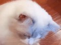 -5