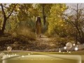 Девушка-в-парке-Рамочка_01