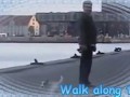 Walk along the beach with a lazy dog